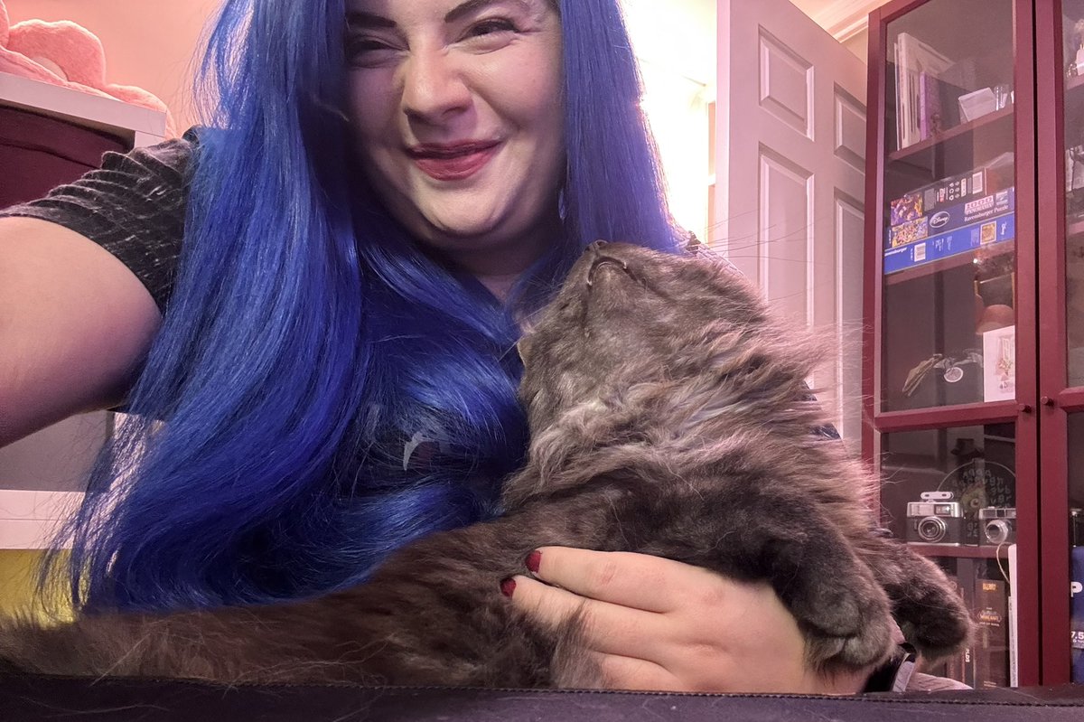 Was meant to be streaming.. but I can’t turn half my setup on because I have been cat trapped 😂