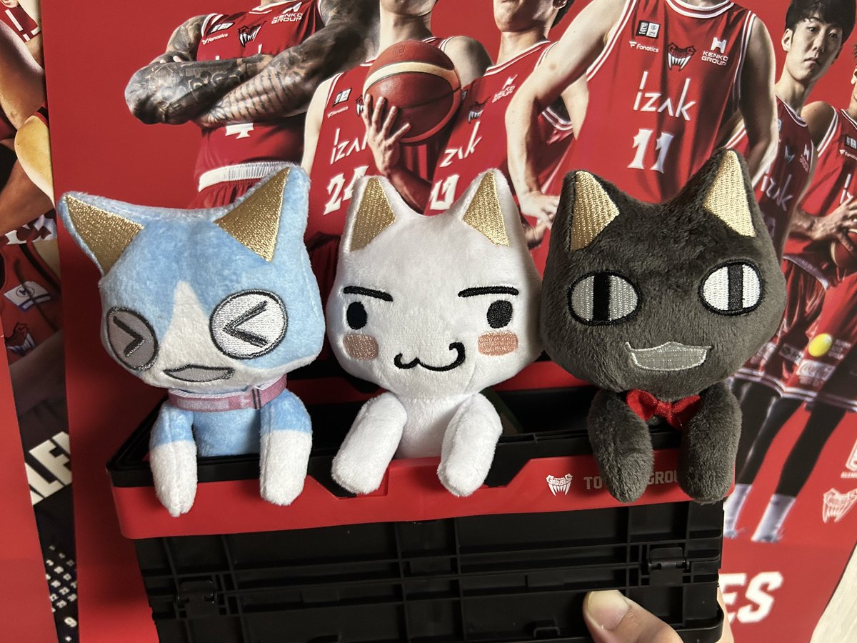 #どこでもいっしょ 
ぬいぐるみコンプリート🐈