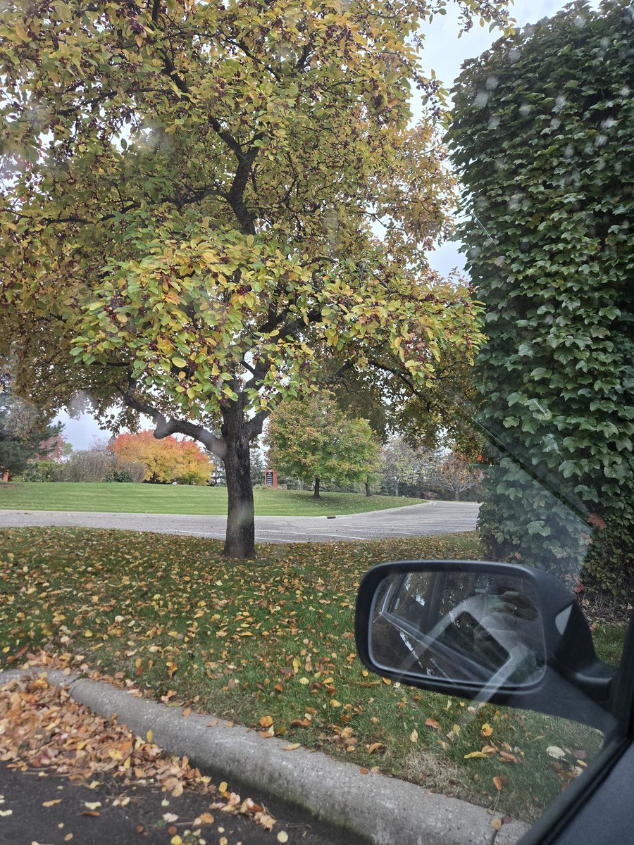 fettlebig's tweet image. happy halloweeen🎃🎃