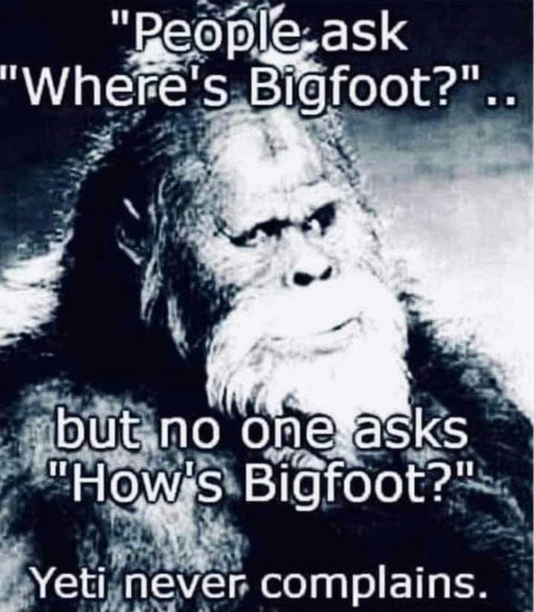 The West Virginia Bigfoot Museum tweet media