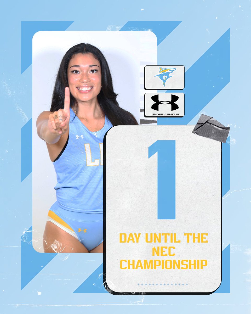 The big day is almost here! #FinsUp 🦈