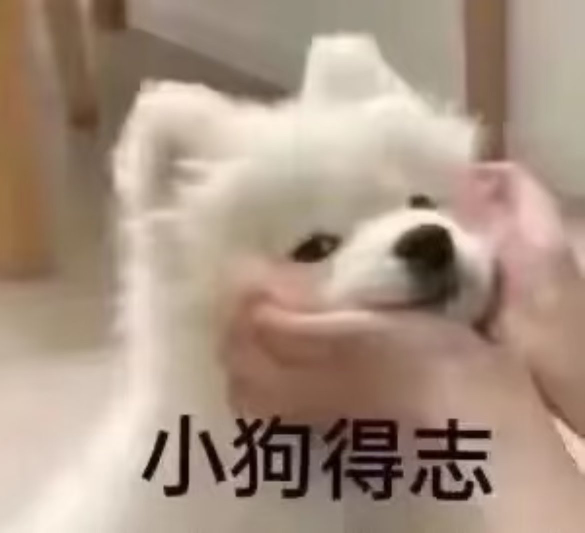 Shutiaodegou69's tweet photo. 去年冬天，我许愿要幸福
11月的第一天，我好像成功了 https://t.co/fMy6239wpN