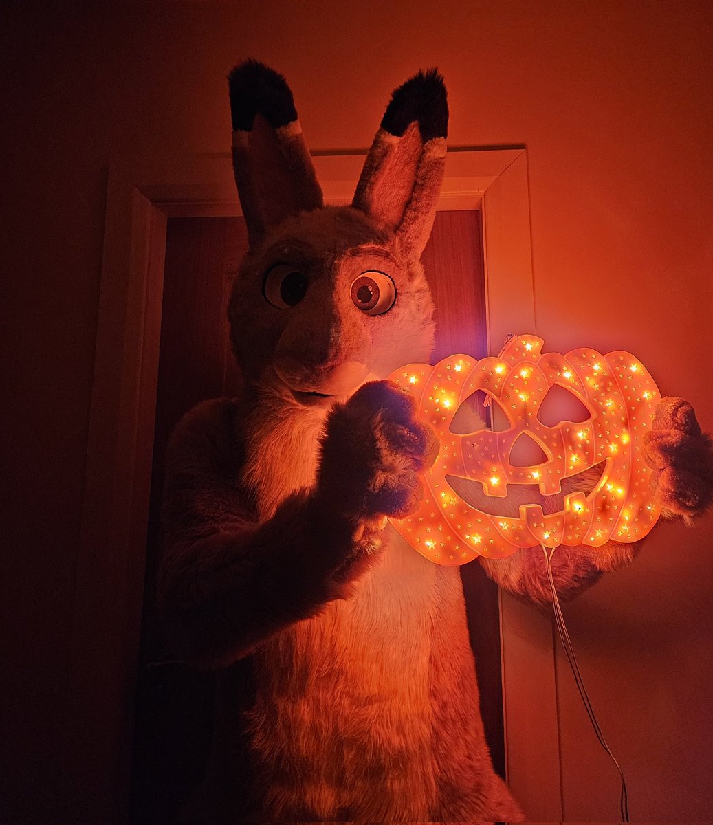 JarlathHare's tweet image. Oíche Shamhna shona daoibh! / 
Happy Halloween! 🎃🦇👻🕸🐾

#FursuitFriday
🧵: @CassiusRed