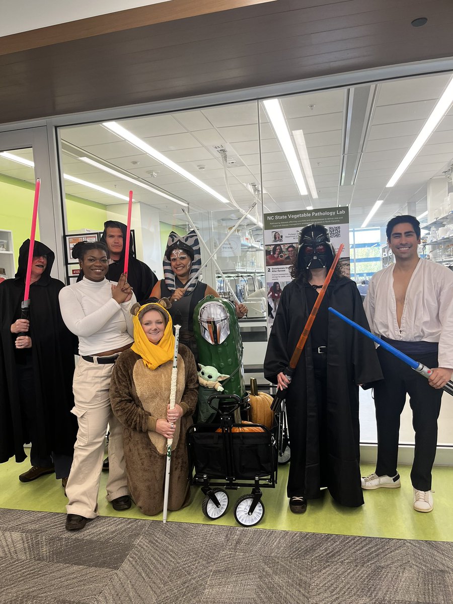 IR4_Director's tweet photo. 🎃 A long time ago, in a lab far, far away… 🌌
Our lab unveiled Star Wars: Return of the Veggie at the @NC_PSI Halloween Party!

Huge thanks to my amazing lab for The Man-Dill-Orian (and Baby Grogu!) 
And to @NC_PSI for the stellar community building, this is the way 🥒 https://t.co/uO3KZCb7yJ
