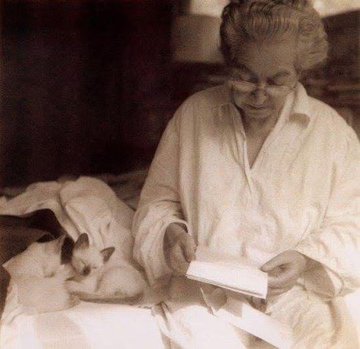 "Donde haya un árbol que plantar, plántalo tú. Donde haya un error que enmendar, enmiéndalo tú. Donde haya un esfuerzo que todos esquivan, hazlo tú. Sé tú el que aparta la piedra del camino". 
—Gabriela Mistral
Vía <a href="/literlandweb1/">literland</a>