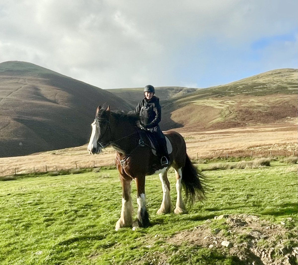 Jo Raftery tweet media