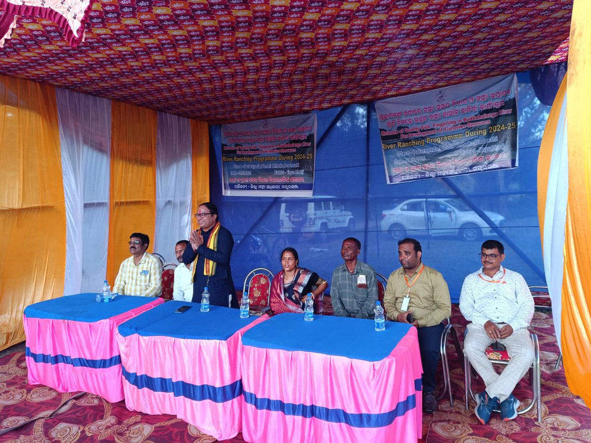 AFOBADASAHI's tweet photo. 7.50Lakh fish fingerings have been stocked in Budhabalanga River near Patarapada village,Paunsia GP,Badasahi Block,Mayurbhanj under River ranching programe in the presence of Hon'ble MLA,Badasahi, DFO Mayurbhanj AFO &amp; JFTA Badasahi @farddepartment @OdishaFisheries @DM_Mayurbhanj https://t.co/e5XVOEPDCc