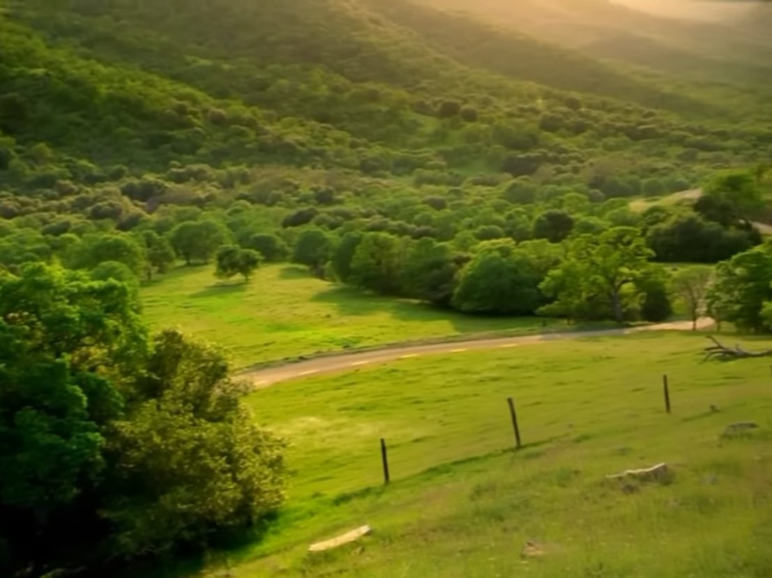 Stuffy Junk tweet media