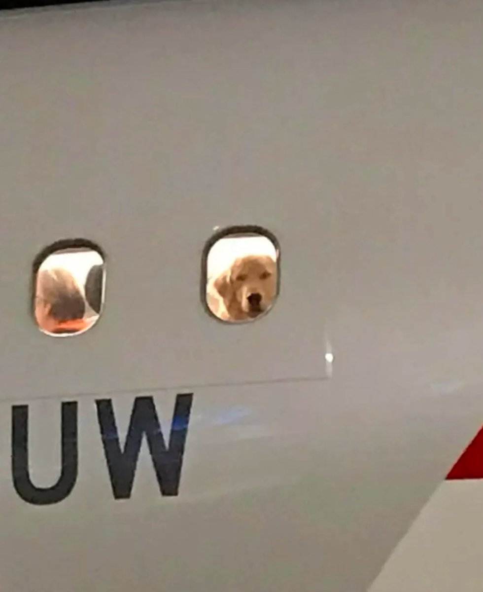 twaniimals's tweet image. 