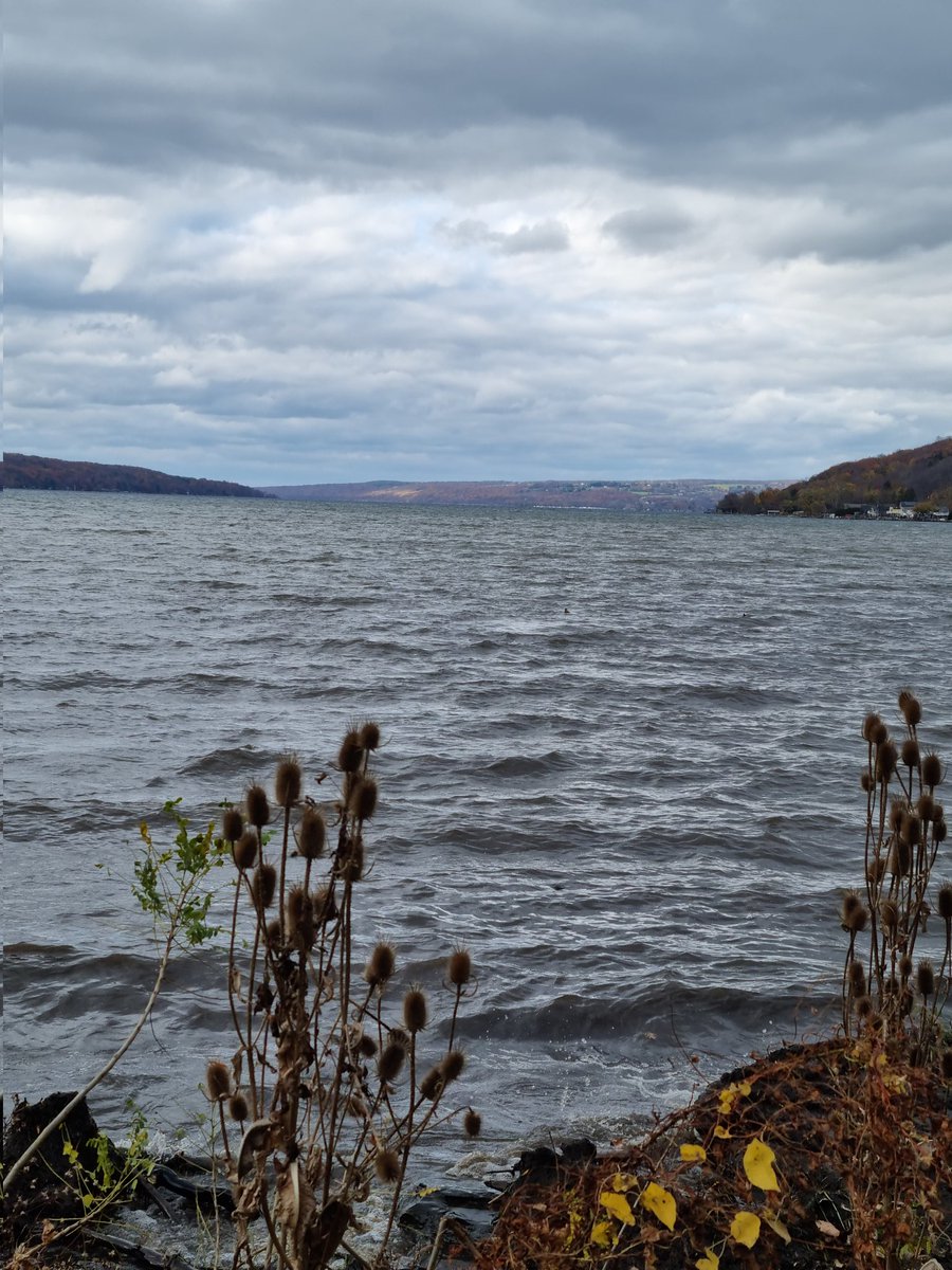 msabine900's tweet image. #LakeCayuga, #OTD 2024
#Ithaca #NY #FingerLakesRegion