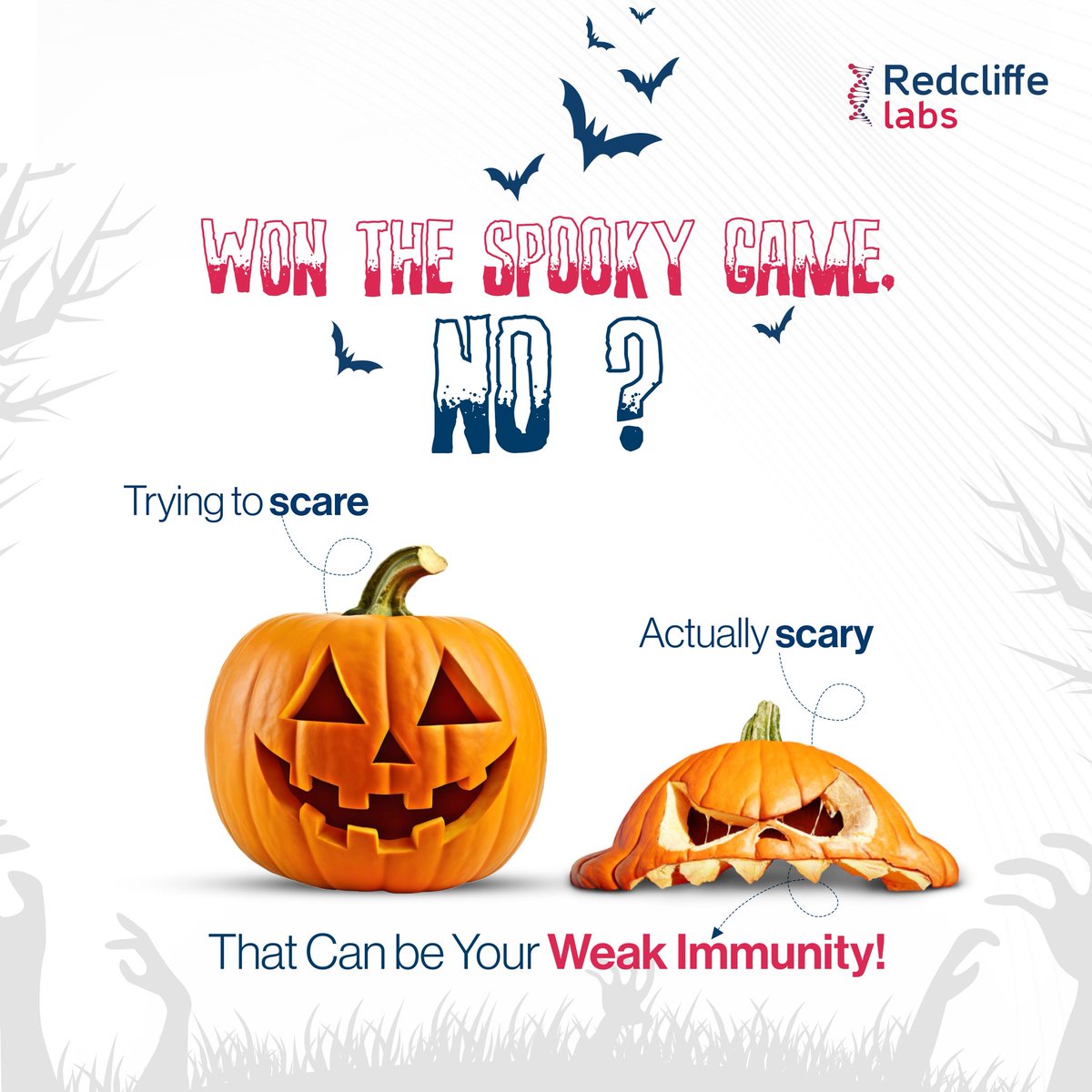 redcliffelab's tweet image. Pumpkins should look scary, not your health reports! 😬
Test your immunity today and skip the spooky surprises. 👻

#RedcliffeLabs #ImmunityMatters #Halloween #october #spooky #spookyseason #halloweenvibes #immunity #immunesystem #ghost #pumpkinseason