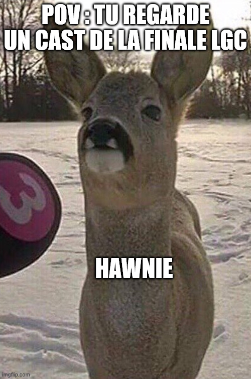 DHM Merguez tweet media