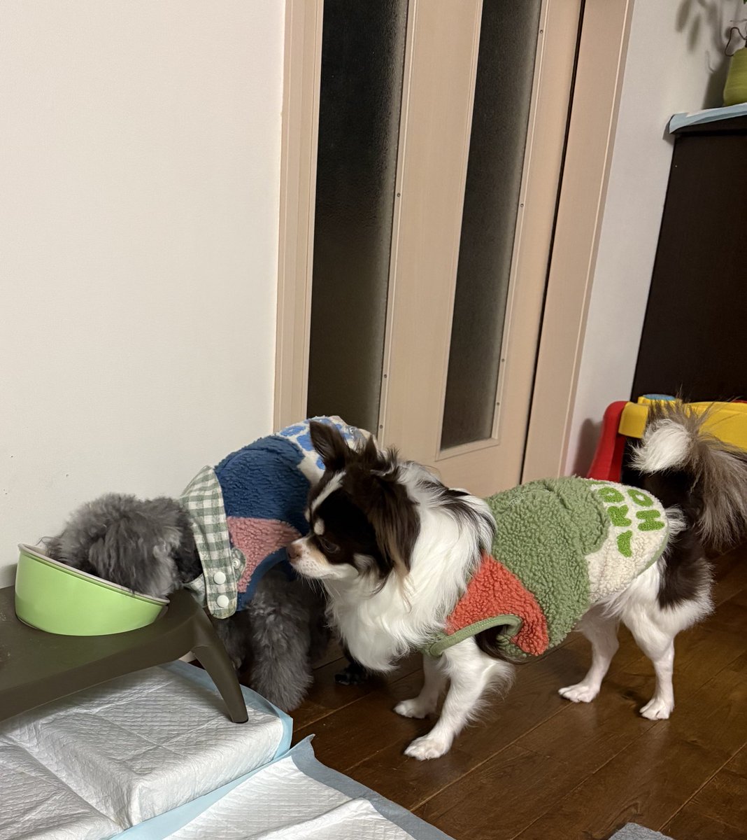 藤塩🗻🧂 tweet media