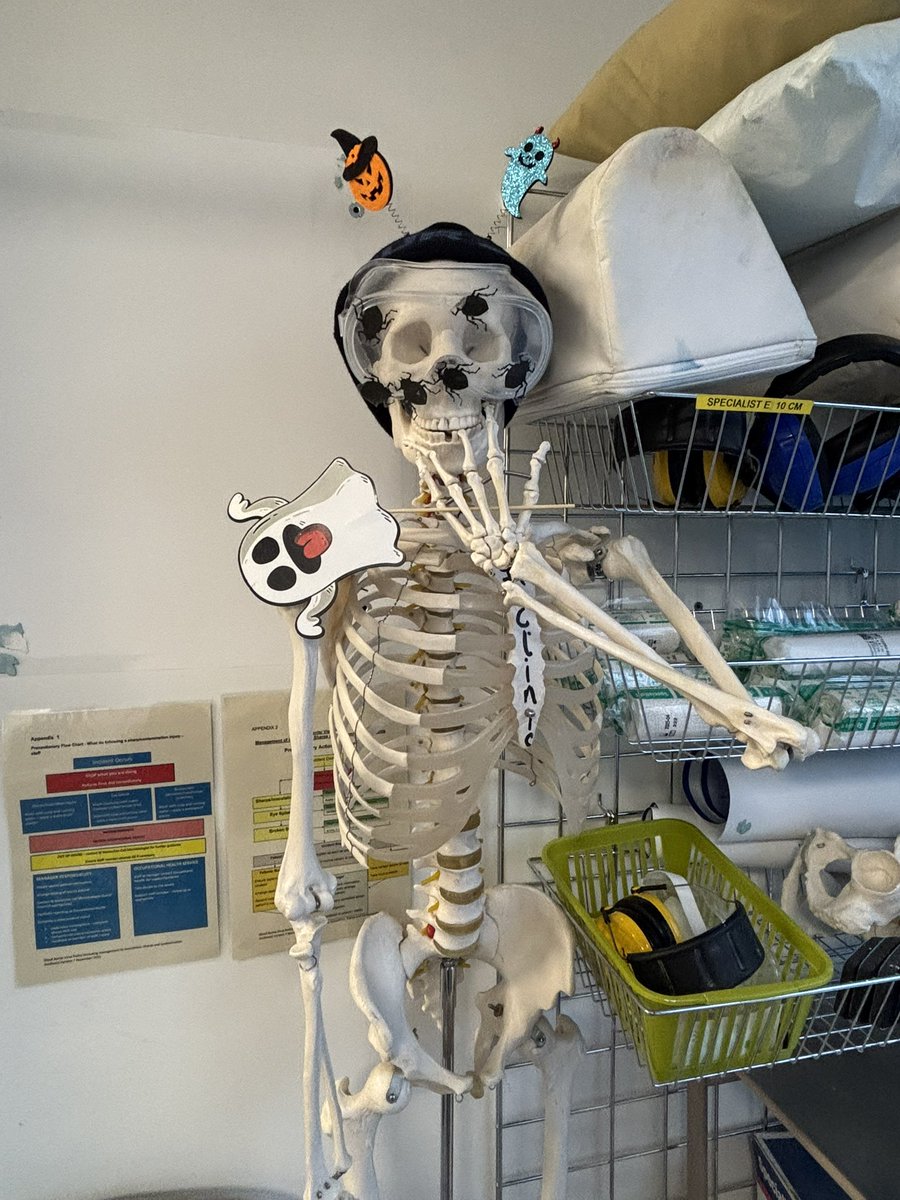 FractureClinic2's tweet photo. Bats and Bones in the Fracture Clinic 👻 https://t.co/III8ss8sBA