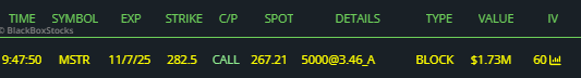 $MSTR bull degens