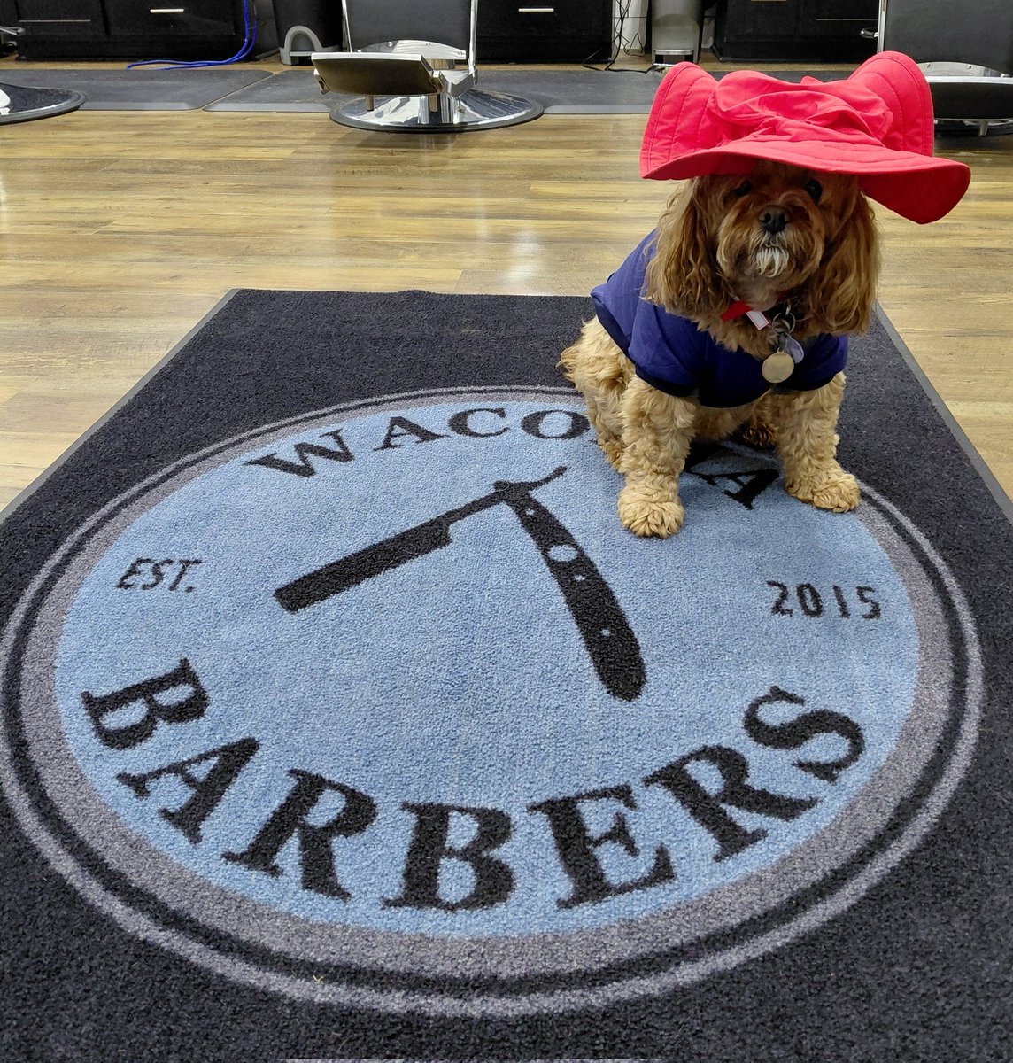 Happy Halloween! Come to Waconia Barbers and visit Paddington (Wrigley) today! Book a haircut or shave while you are here at waconiabarbers.com!