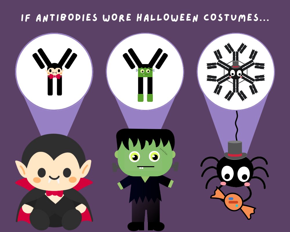 rapidnovor's tweet image. This year, our antibodies wanted to dress up for Halloween. Meet 𝗜𝗴𝗗racula, 𝗜𝗴franki𝗘 and 𝗜𝗴𝗠r. Spider. Not pictured: 𝗜𝗴𝗚host, who dressed up a little too well 👻

Let us know which antibody is best dressed👇

#Halloween #Antibodies #ScienceHumor #ScienceMemes
