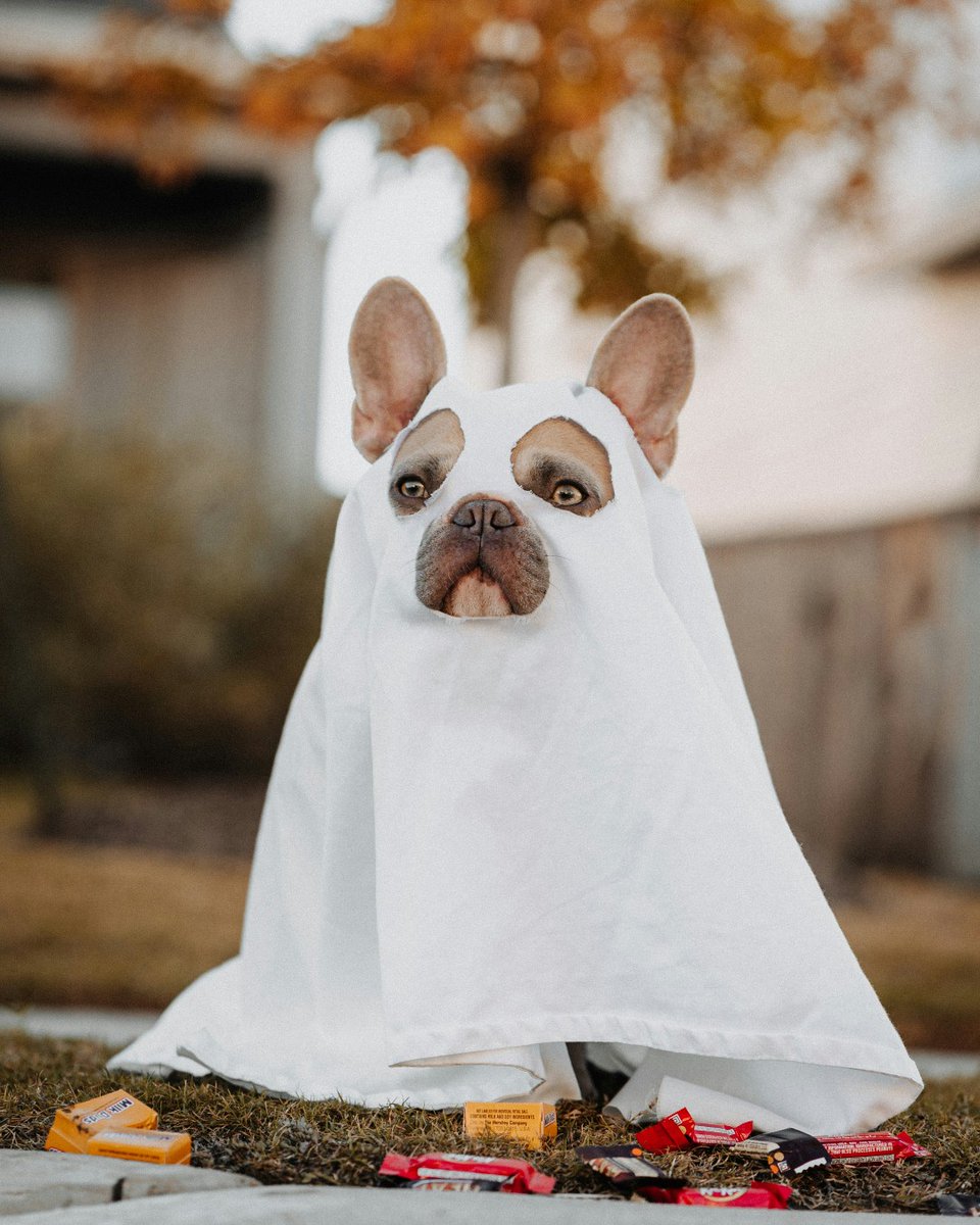 Don’t let unexpected scares haunt you this Halloween. InsuraMatch is here to help you find insurance that fits your needs. Give us a call today at 844-232-2700 to see what products and coverage options we have for you! #InsuraMatch #Halloween