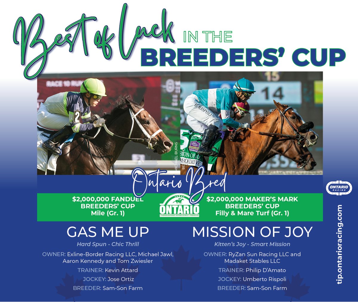 We pulling for everyone in the <a href="/BreedersCup/">Breeders' Cup</a>, but admit we're rooting for Ontario-breds Gas Me Up and Mission of Joy (both bred by Sam-Son Farm) a little bit more. 🤞
Both will race Saturday at <a href="/DelMarRacing/">Del Mar Racetrack</a>, with Gas Me Up racing for Ontario trainer <a href="/kevin_attard/">Kevin Attard Racing</a> 
#betontario