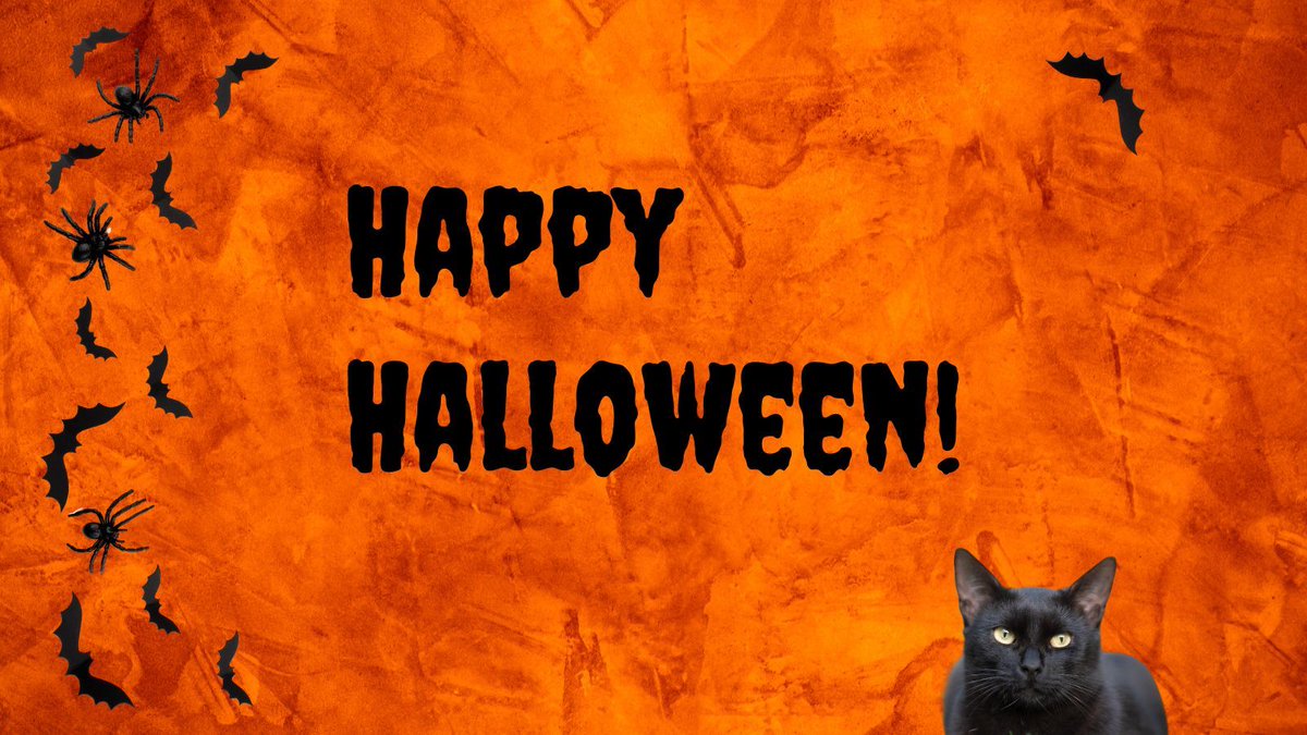 Salamander tweet media