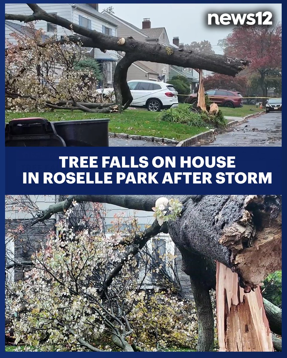 News12NJ's tweet photo. The tree split in half and landed on the roof, causing damage. It also brought down a power line, knocking out electricity in the #RosellePark neighborhood. - https://t.co/SgItNgKgBy https://t.co/cR1r8XnkUa