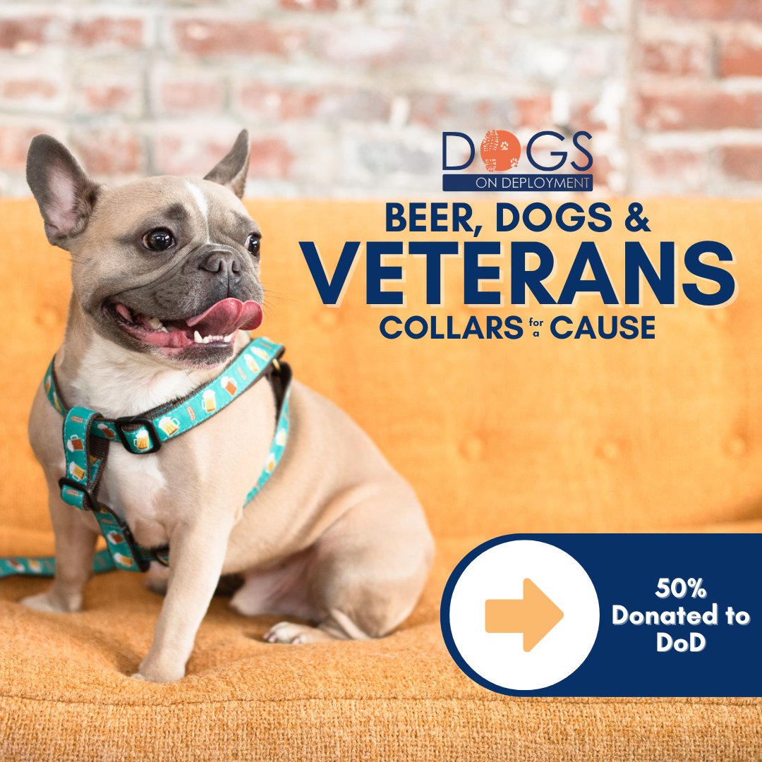 DogsonDeploymnt's tweet photo. Last chance! 🐾 Today is the final day to shop the Beer Dog, Stars & Stripes, and North Star Collections and support Dogs on Deployment! 50% of proceeds go directly to helping veterans and their beloved pets. 🇺🇸
🔗: https://t.co/WeZlUoypip
#DogsOnDeployment #UpCountryInc https://t.co/QvdHruIHzb