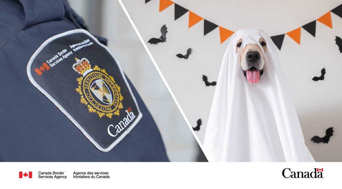Crossing the border this Halloween? Pack candy, not contraband. #CBSA officers can spot a trick faster than you can say "BOO!" To learn more on prohibited items: cbsa-asfc.gc.ca/travel-voyage/…