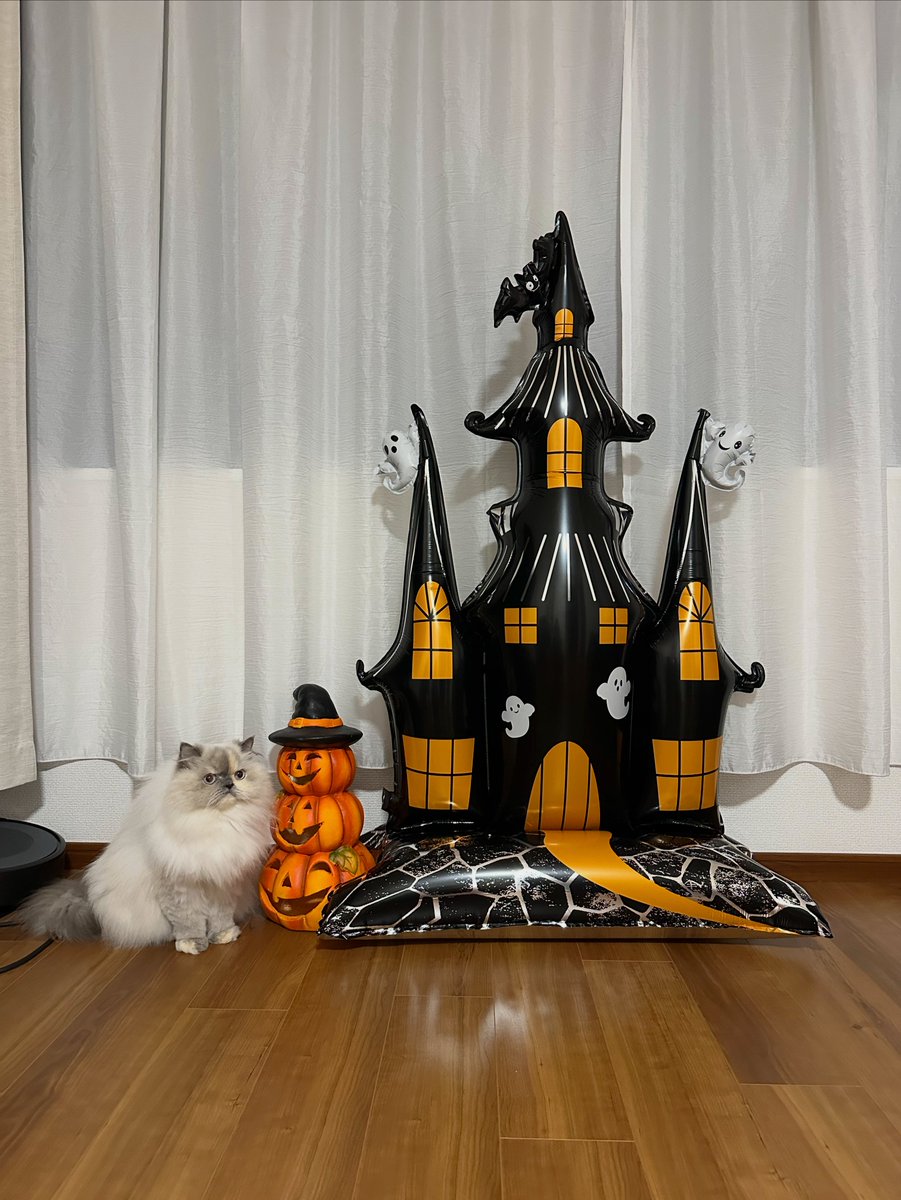 himadayo0820's tweet photo. 🅷🅰🅿🅿🆈 🅷🅰🅻🅻🅾🆆🅴🅴🅽 🎃👻🧟‍♂️

#ヒマラヤン #himalayan #halloween https://t.co/NZV10rQWwX