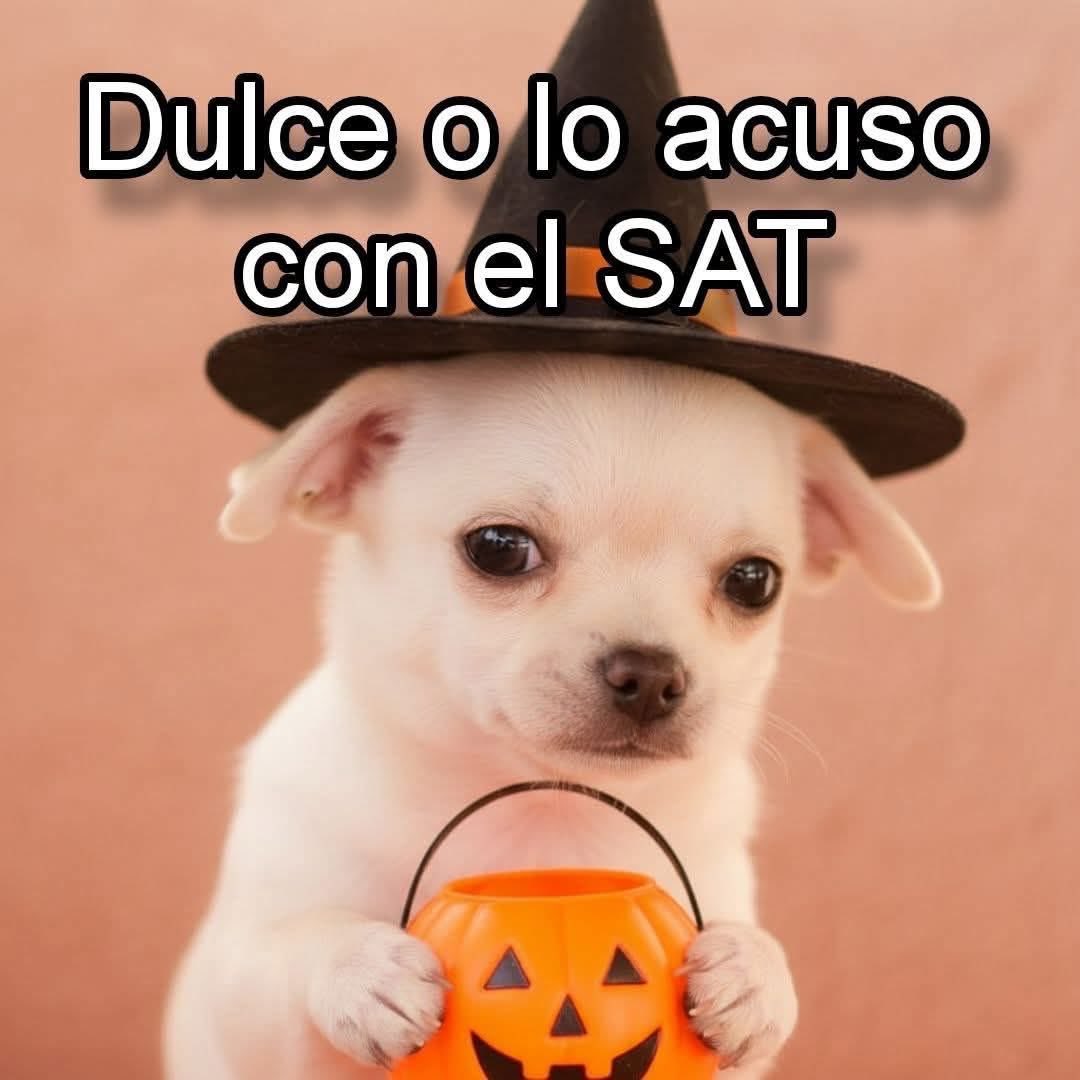 No andes amenazando ⁦<a href="/CarlDoomkowski/">Conde Carl Doom</a>⁩