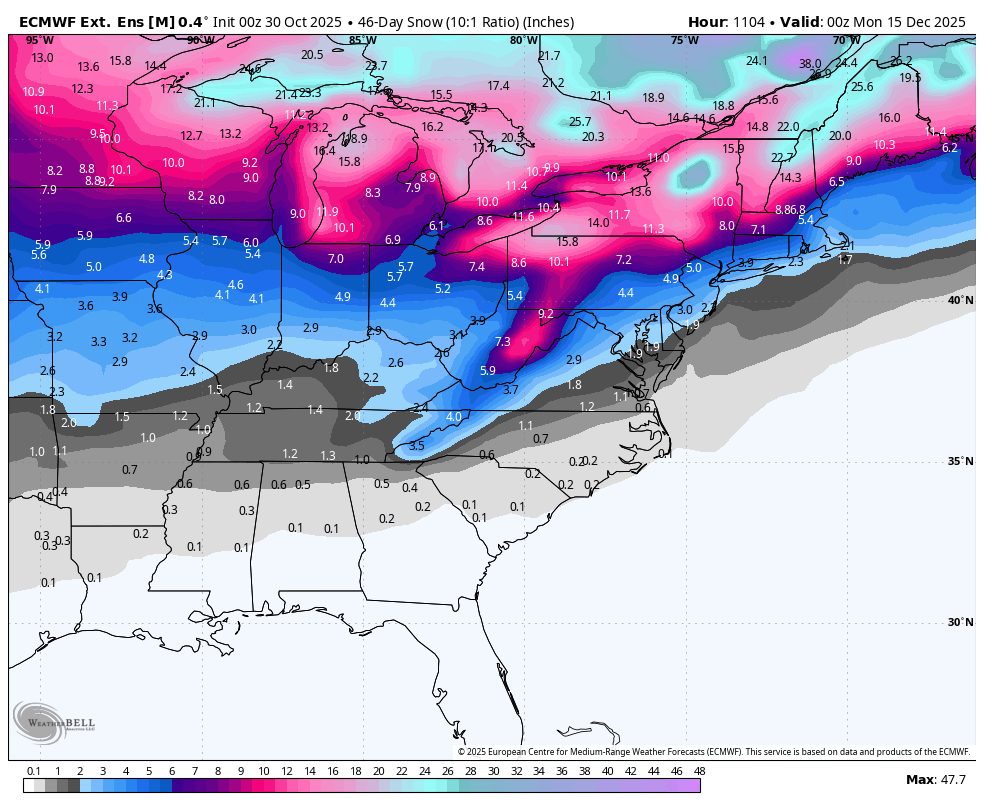 Color-coded map from ECMWF model shows forecasted snow accumulation in inches over 4 days across the United States, with blues and purples indicating 0-2 inches in the South and Midwest, reds and yellows for 4-8 inches in the Great Lakes and Northeast regions, and higher values up to 12 inches in parts of the Upper Midwest. The map includes state outlines, temperature contours in the background, and labels for valid dates from December 10 to 14. A scale bar at the bottom ranges from 0 to over 12 inches, with the title specifying medium range forecast.