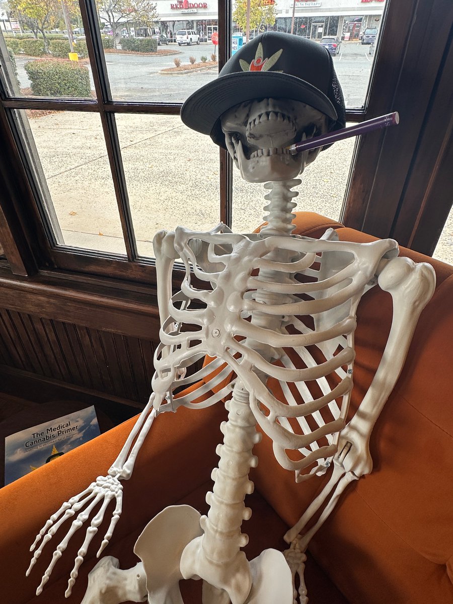 What treats do you think we should give Bones next?

We thought it was just gummies, but it looks like Bones got into a bunch of our other goodies too. 

For a skeleton, he sure is the life of the party 😂
