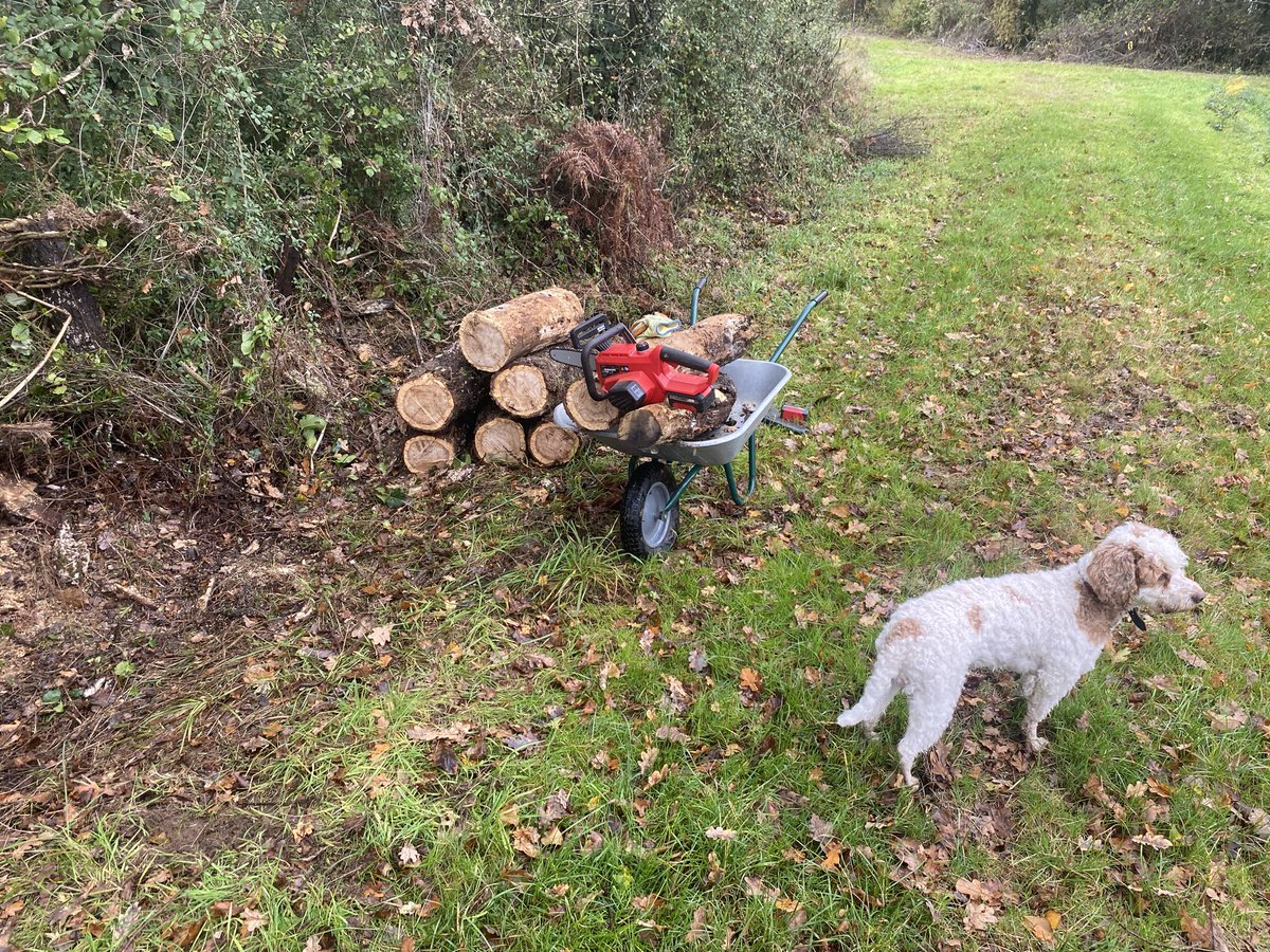 DorsetDemoChef's tweet image. Playing my first vinyl purchase in over 30 years having gone record shopping with the teen! #LOUD After a morning of stocking up on logs. Needing a better barrow!