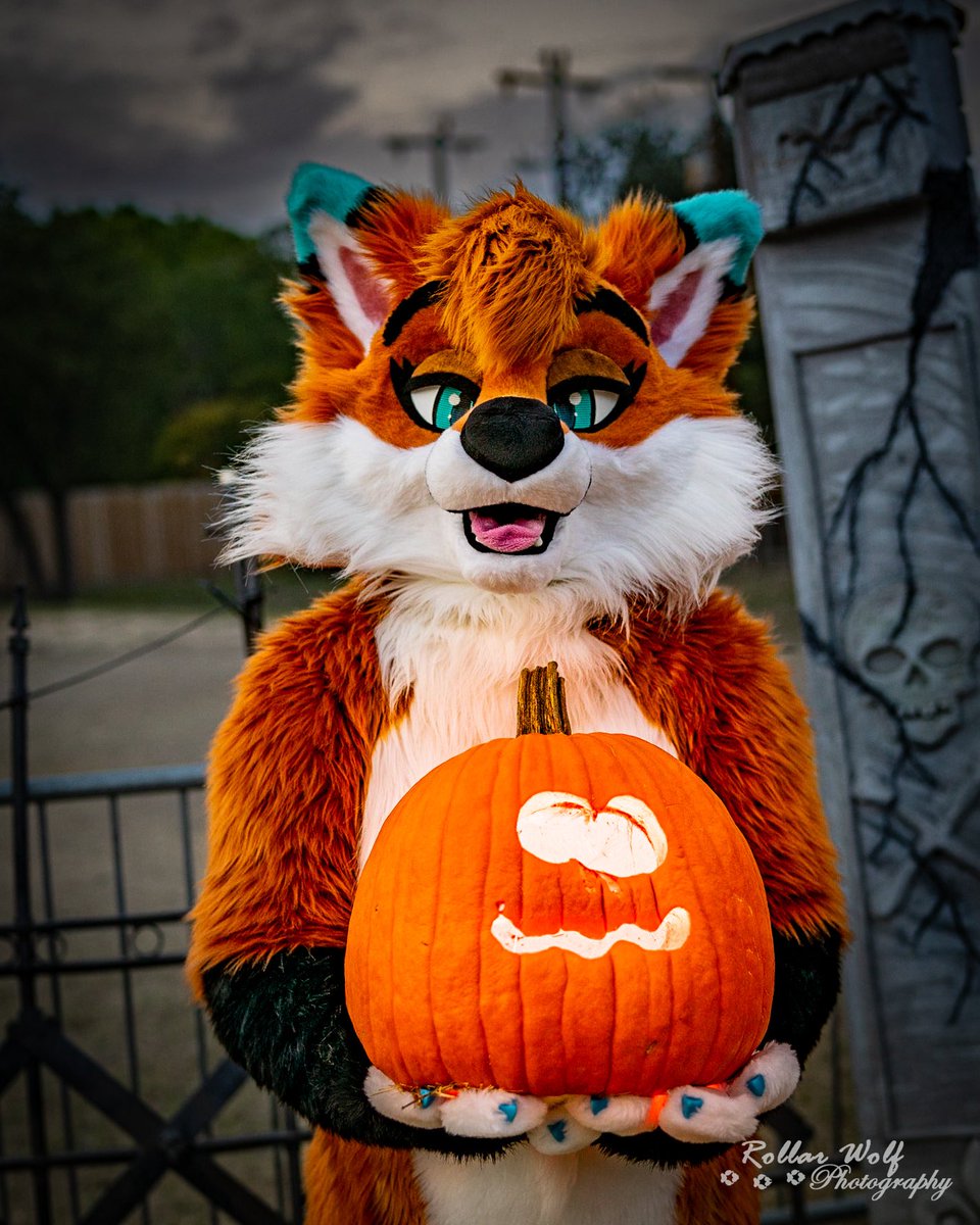 Happy Halloween everyone! Have a great day 

📸<a href="/rollarwolf/">Rollar Wolf</a>