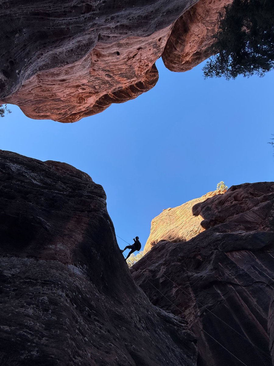 Tomer Benami tweet media