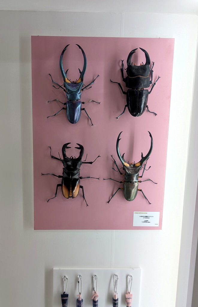 見つめるゴイサギ ミニチュア 122f43b3b24155ff418d6135110b7f