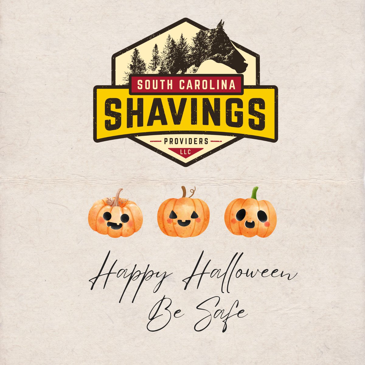 ShavingsSouth's tweet image. Have a Safe and Happy Halloween! 

#southcarolinashavings #aikensc #welovehorses #equinebedding