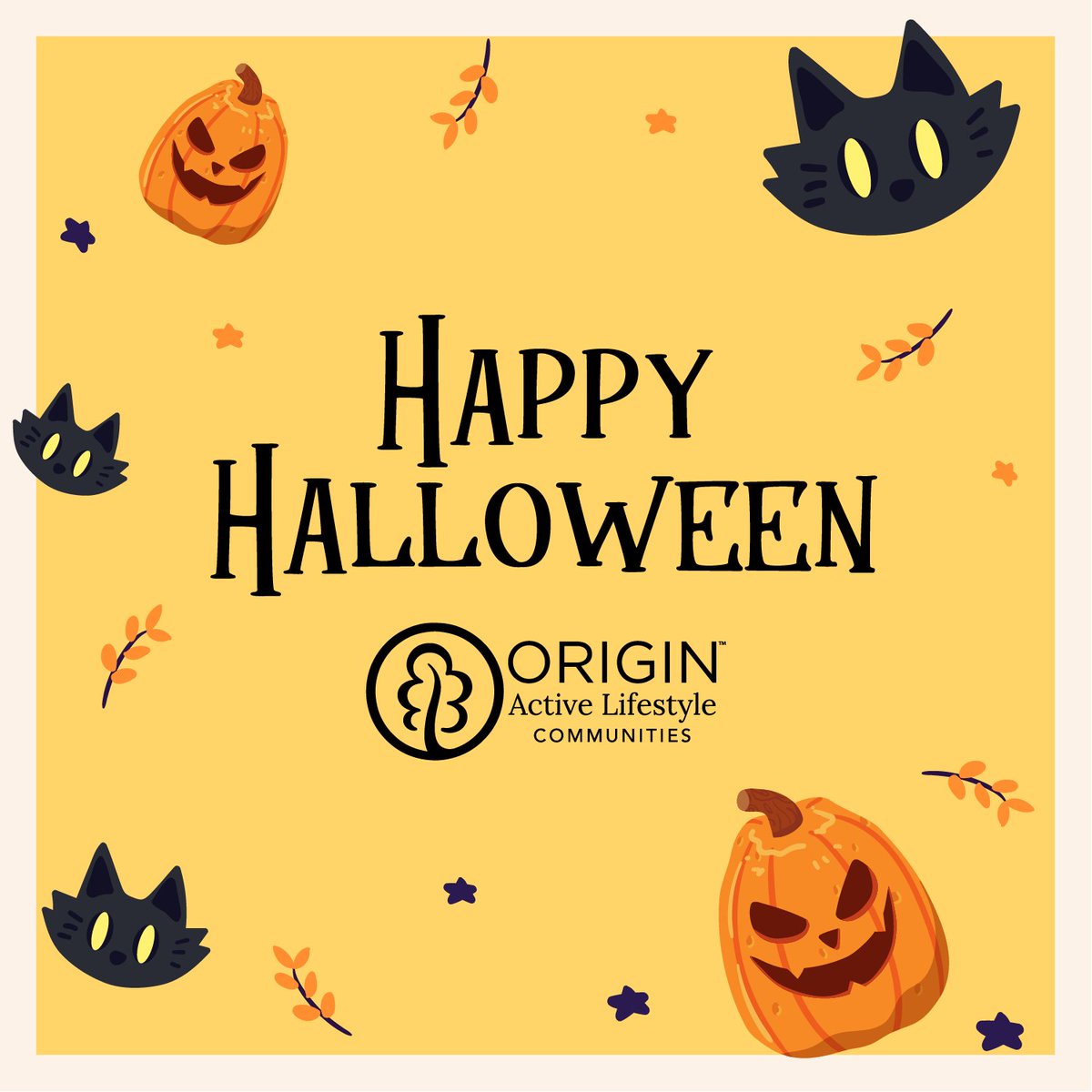 Origin Active tweet media