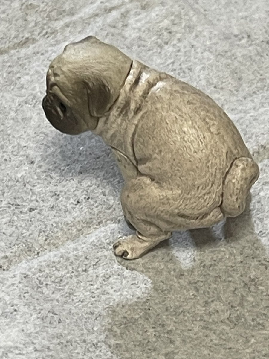 bba0037's tweet photo. ぢっちゃん？🤣 https://t.co/d14XQyrDtN