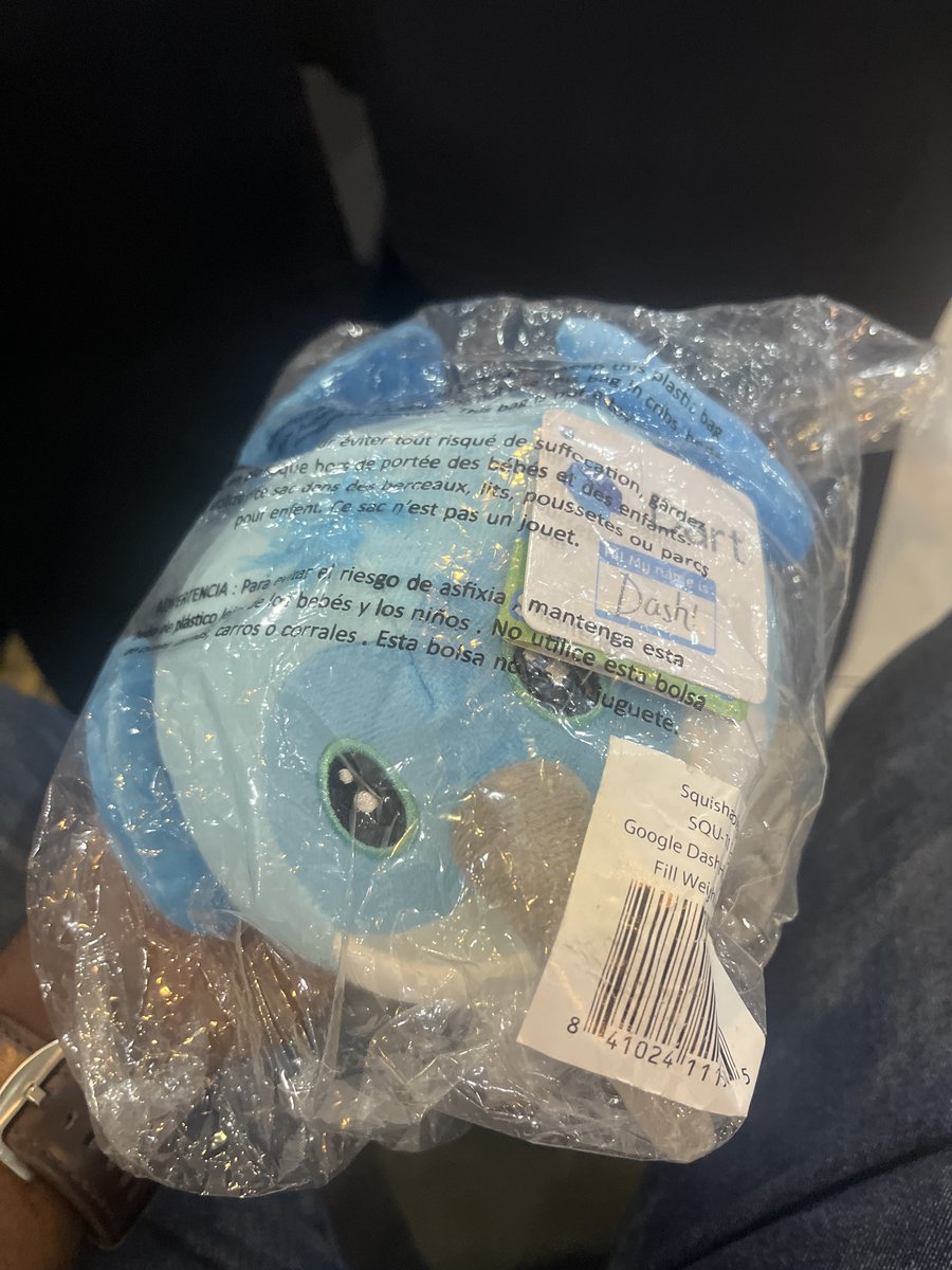 odinachidavid's tweet image. finally have a baby to cater for 
#flutterbytesconference2025