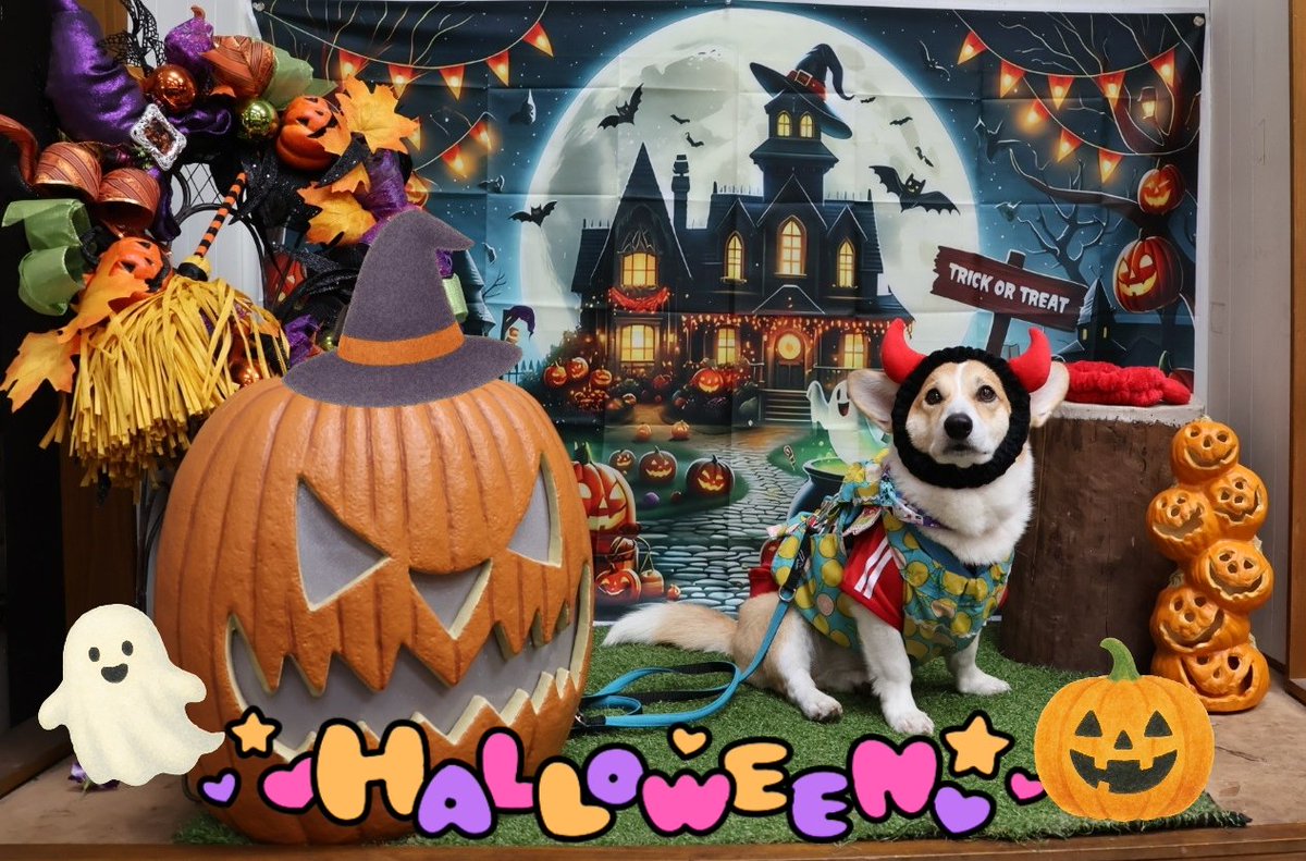 コジとしんのかぁしゃん(kazu) on X