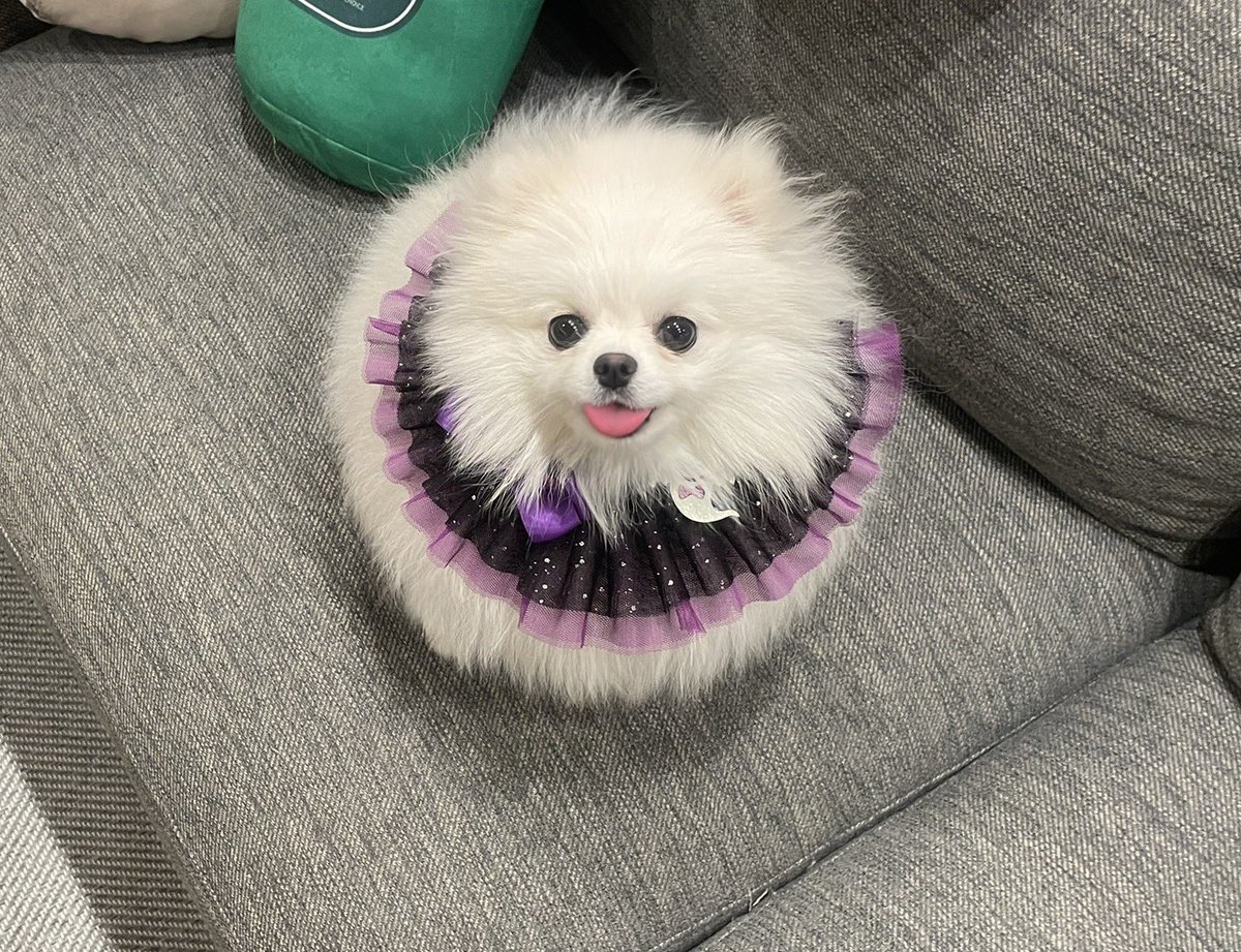 西アフױ力で飲む、いつもの味。 (@lunan18) / Posts / X