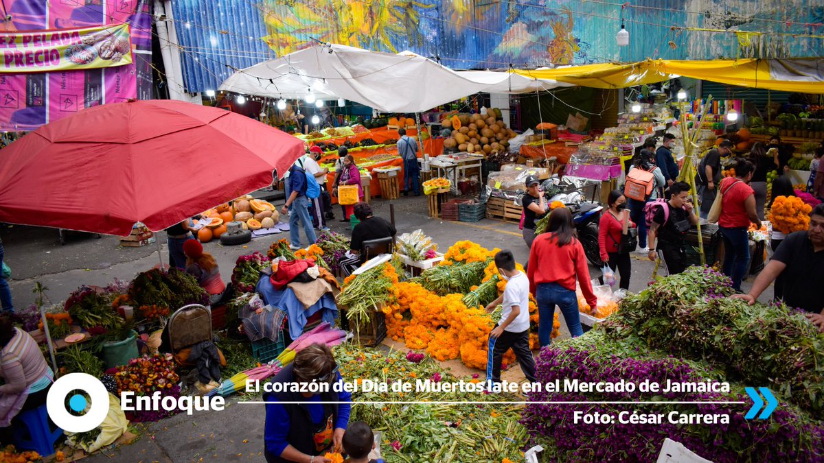 Reporte_Indigo's tweet photo. El corazón del Día de Muertos late en el Mercado de Jamaica. 🧡Aquí, la tradición se vende por mano llena y el recuerdo huele a flor recién cortada.
Fotografías: César Carrera.