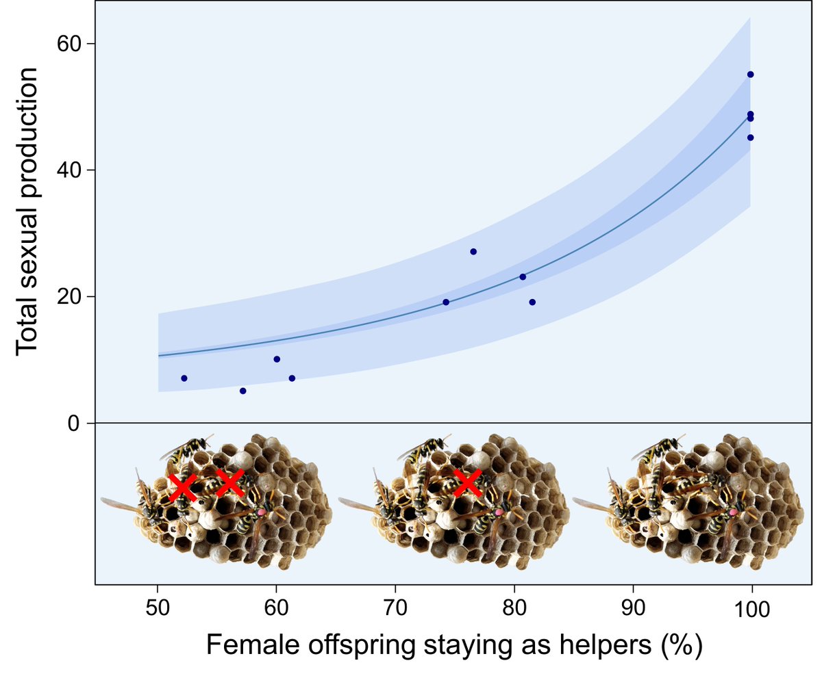 Tom Wenseleers now @twenseleers.bsky.social tweet media