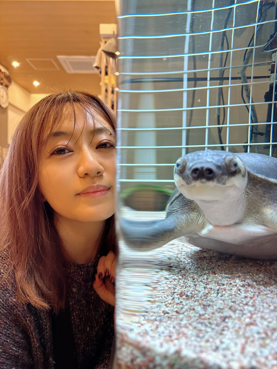 あやかん あやかん