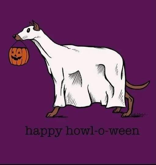 Justin Nelson Music tweet media