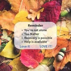 ClintonCountyHD's tweet image. ⏰Daily Reminder: No matter what you&apos;re experiencing, you&apos;re not alone and help is available. If you or a friend would like support, or for those struggling with mental health or substance use, help is available: samhsa.gov/find-help #RecoveryIsPossible