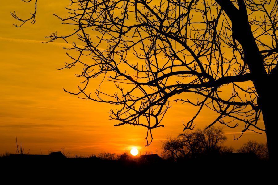 The Poetry Archive tweet media