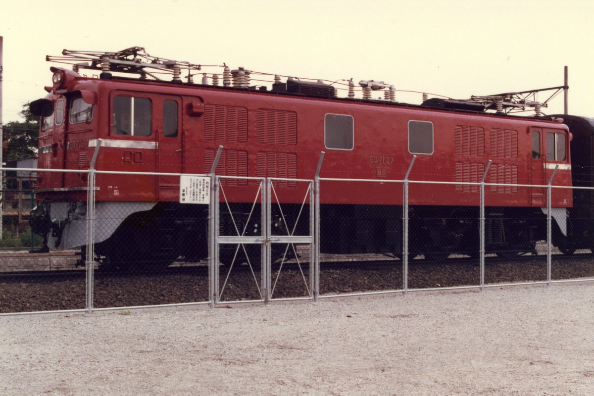 トンちゃん ドンちゃん2CUP｜イベント情報｜セガNET麻雀【MJ ARCADE】