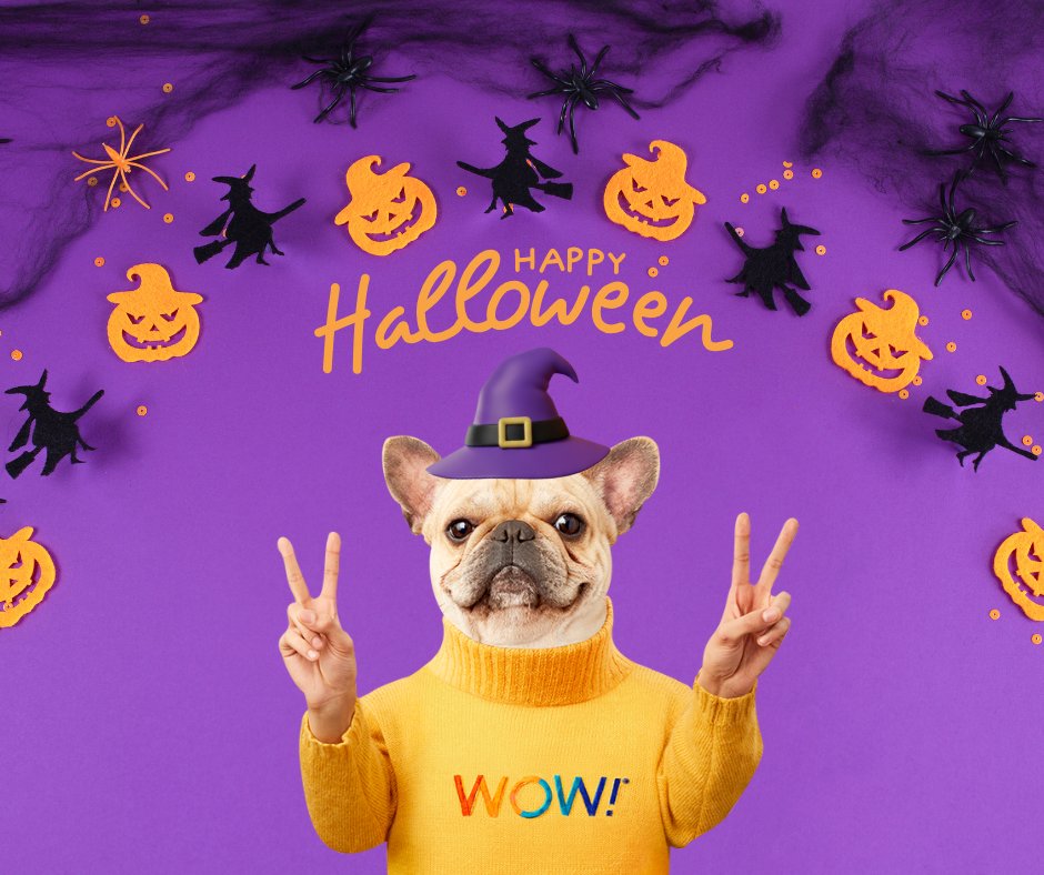 WOW_fiber Internet tweet media