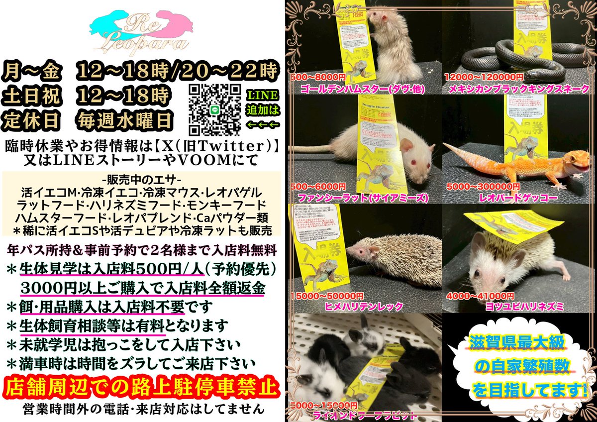 𝓡𝓮⑅⃛レオパラ tweet media